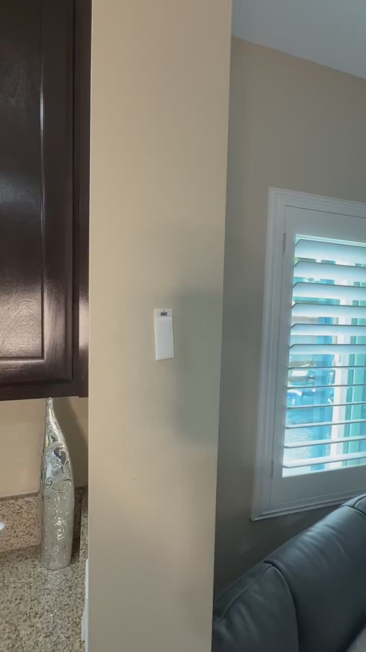 PENSKYN™️ Fine Art: The Panda